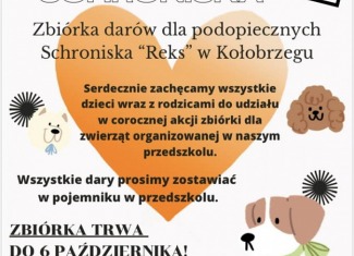 Pełna miska dla schroniska