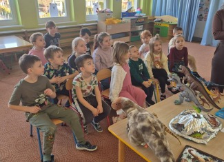 Dzień Dinozaura - Grupa Żabki