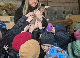 Dziadkowizna Skalno - Frupa LISKI i ŻABKI